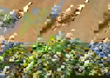 Kesäkurpitsa-sitruunapasta