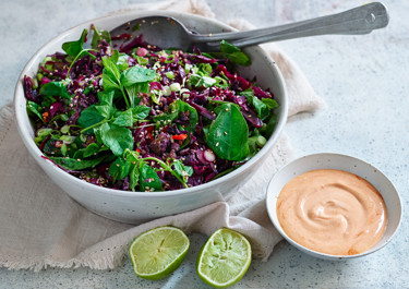 Asiatisk rödkålssallad