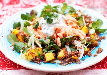Sallad med ceviche och koriandersås