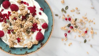 Skyr bowl with granola and seed