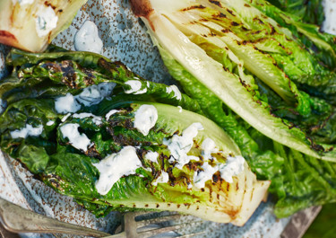 Grilled romaine lettuce with lactose-free dressing 