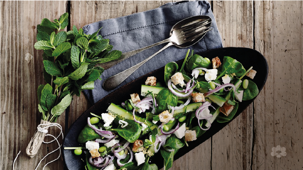 &#x633;&#x644;&#x637;&#x629; &#x627;&#x644;&#x633;&#x628;&#x627;&#x646;&#x62E; &#x627;&#x644;&#x637;&#x627;&#x632;&#x62C;&#x629; &#x645;&#x639; &#x627;&#x644;&#x646;&#x639;&#x646;&#x627;&#x639; &#x648;&#x627;&#x644;&#x62C;&#x628;&#x646;