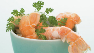 Jomfruhummerhaler med tomatmayonnaise