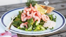 Räksallad med Rhode Island