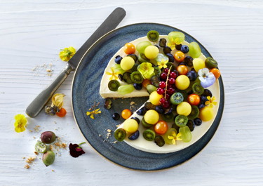 Cheesecake med frugt