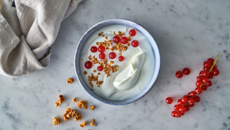 Homemade granola and red berries topping for Skyr