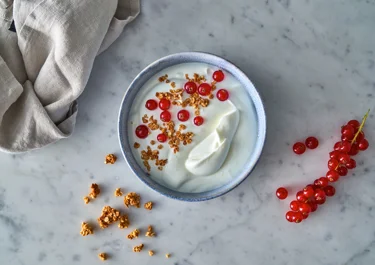Homemade granola and red berries topping for Skyr
