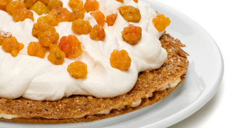 Lakkatorttu