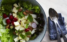 Summer salad with cheddar, melon and radishes