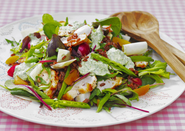 Sallad med primörer, råris och rucolakräm