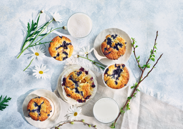 Blaubeer-Muffins 