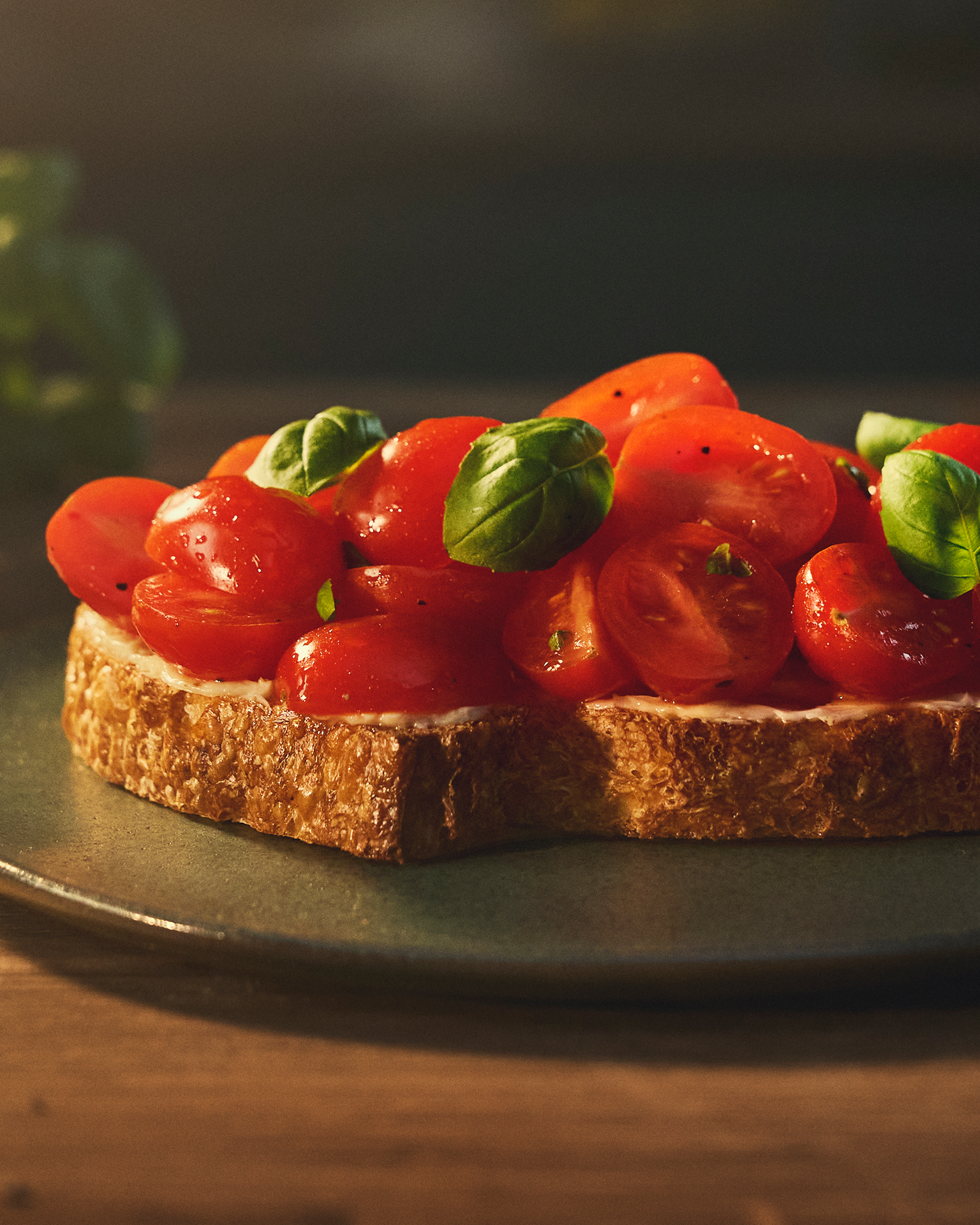 Tomato bruschetta