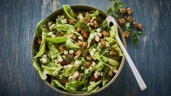 Green salad with cheese & croutons