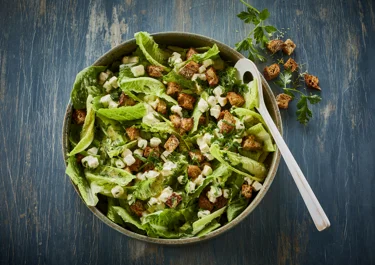 Green salad with salad cheese and croutons