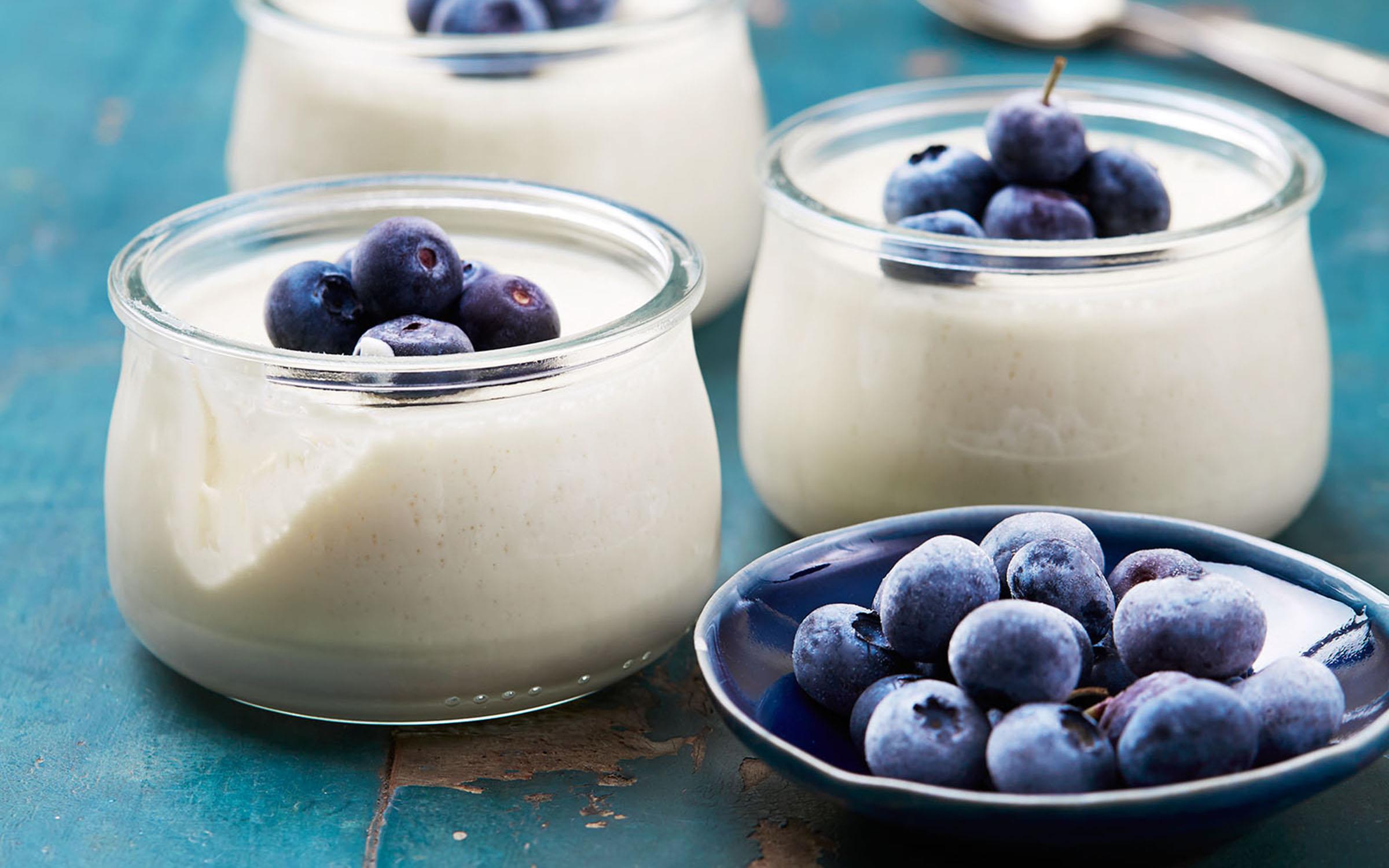 Yoghurtpannacotta med färska blåbär