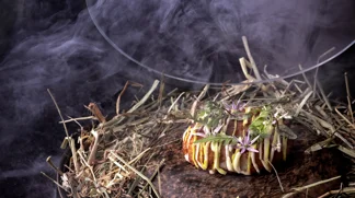Sprød krokette med Havgus, kartoffel og porrer