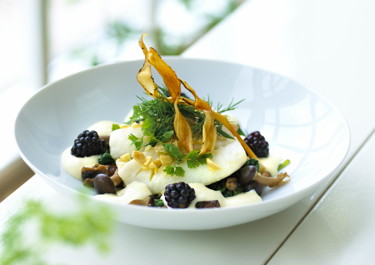 Bagt hellefisk toppet med sprøde skorzonerrødder og sauce mousseline