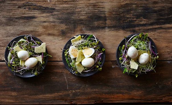 Bird's nests with quail's eggs and Mature Cheddar