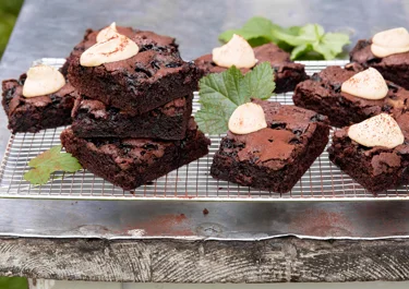 Chokladrutor med svarta vinbär och kolagrädde