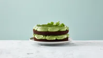 Intense chocolade taart met lactosevrije avocado en matcha room