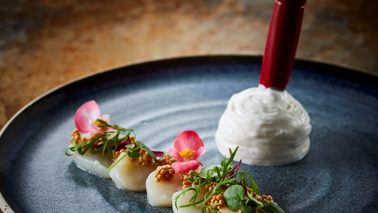 Ceviche van coquille, ingelegde mosterdzaadjes en amandelmousse