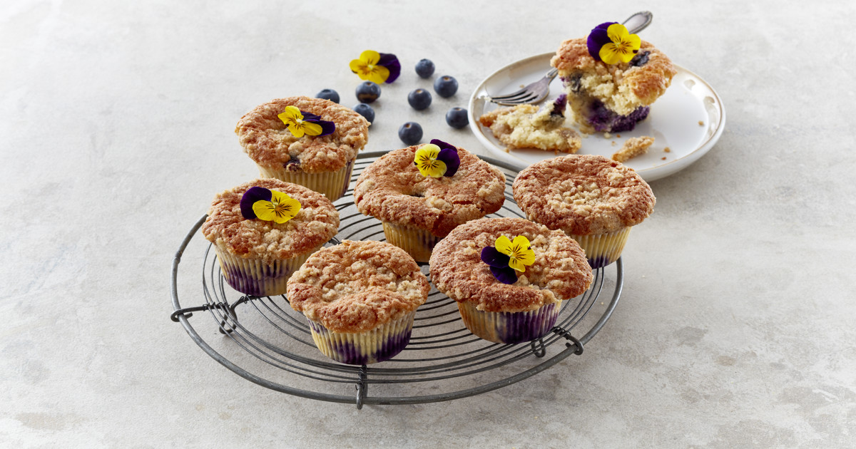 Blueberry cheesecake muffins