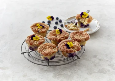 Blauwe bessen cheesecake muffins