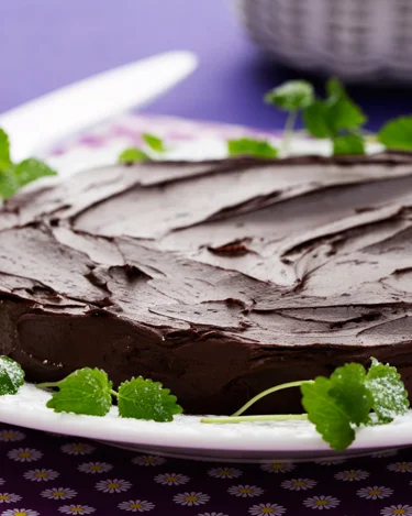 Mud Rice Cake Mud Cake Recipe | Arla UK