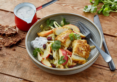 Fisk med karry og tranebærdressing