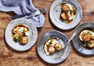 Scallops with cauliflower purée