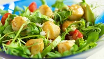Sallad med pilgrimsmusslor
