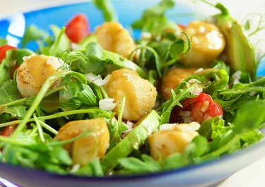 Sallad med pilgrimsmusslor