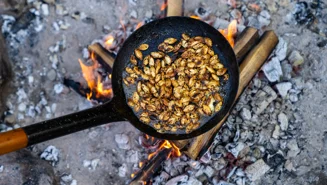Roasted pumpkin seeds