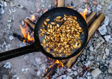 Flespompoen uit de oven