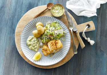 Stegt torsk med salat og grøn remouladesauce