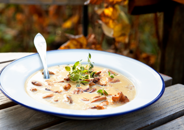 Kantarelsuppe